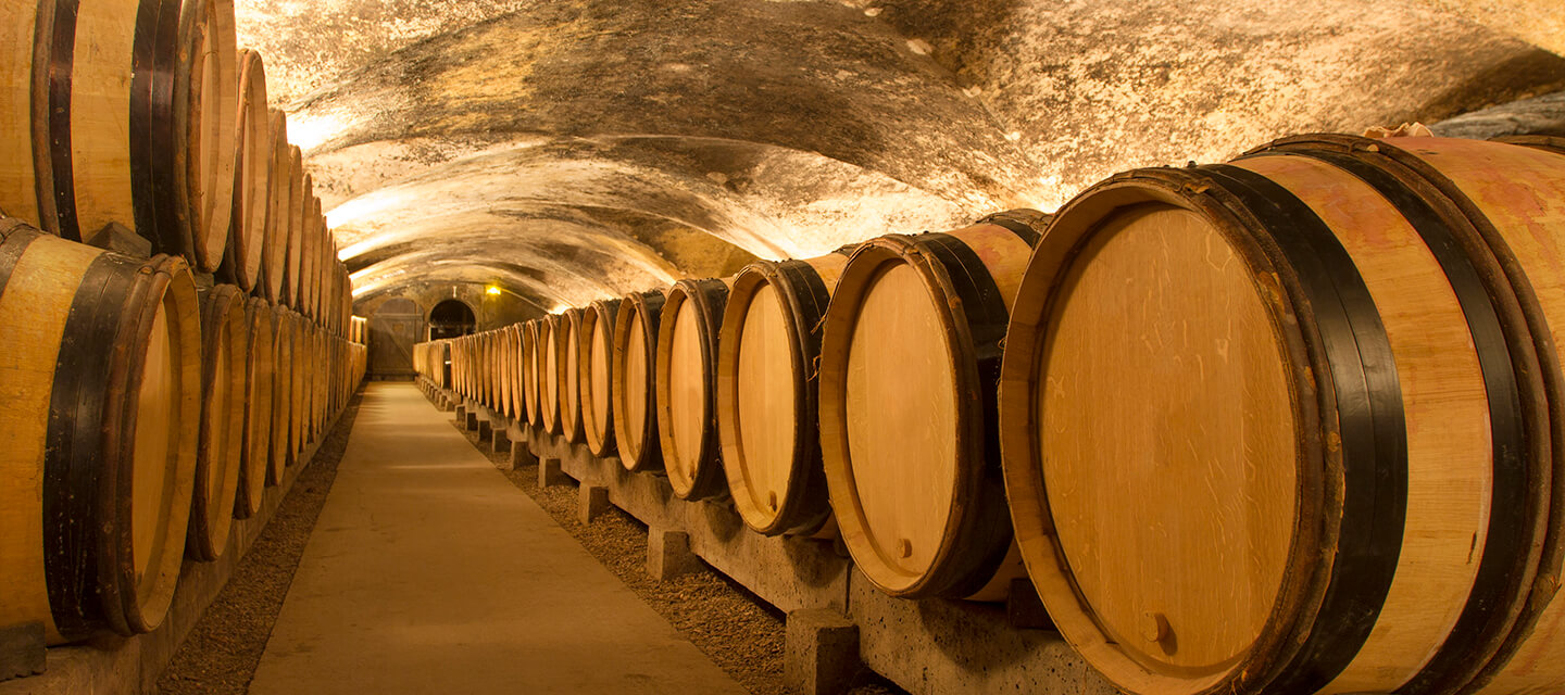 Barriles en el interior de una bodega