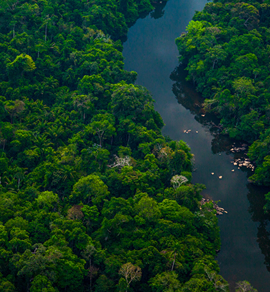 Proyecto Madre de Dios