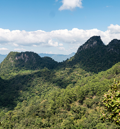 Proyecto Parque nacional Cordillera Azul